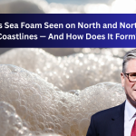 What Is Sea Foam Seen on North and North-East Coastlines — And How Does It Form?