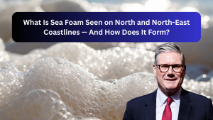 What Is Sea Foam Seen on North and North-East Coastlines — And How Does It Form?