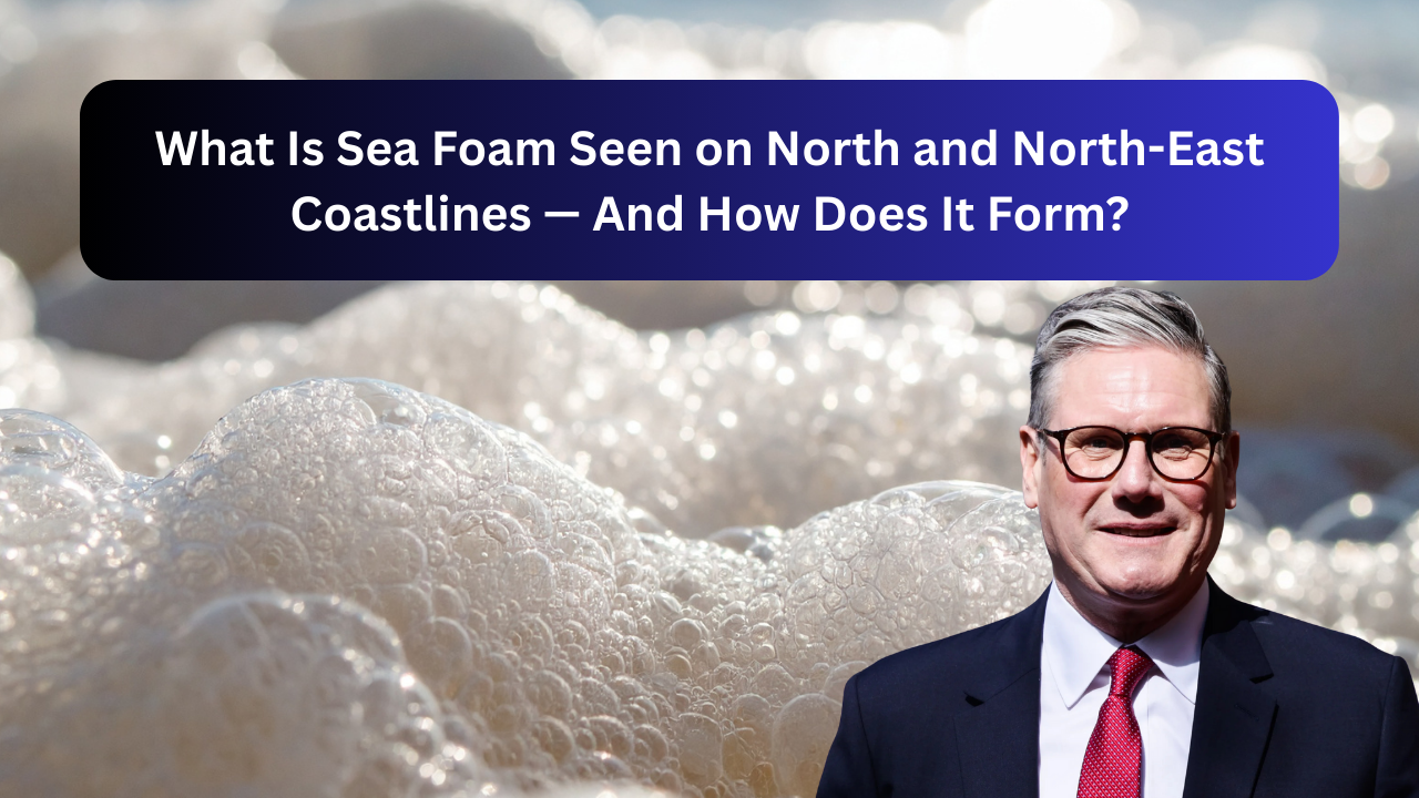What Is Sea Foam Seen on North and North-East Coastlines — And How Does It Form?