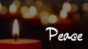 Ian Glass Erie, PA Obituary: McDowell Senior High Student Has Tragically Passed Away