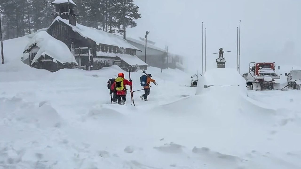 Tahoe Avalanche death
