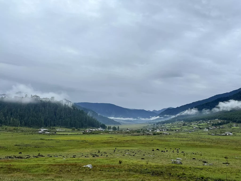 Bhutan Road Trips and Scenic Drives
